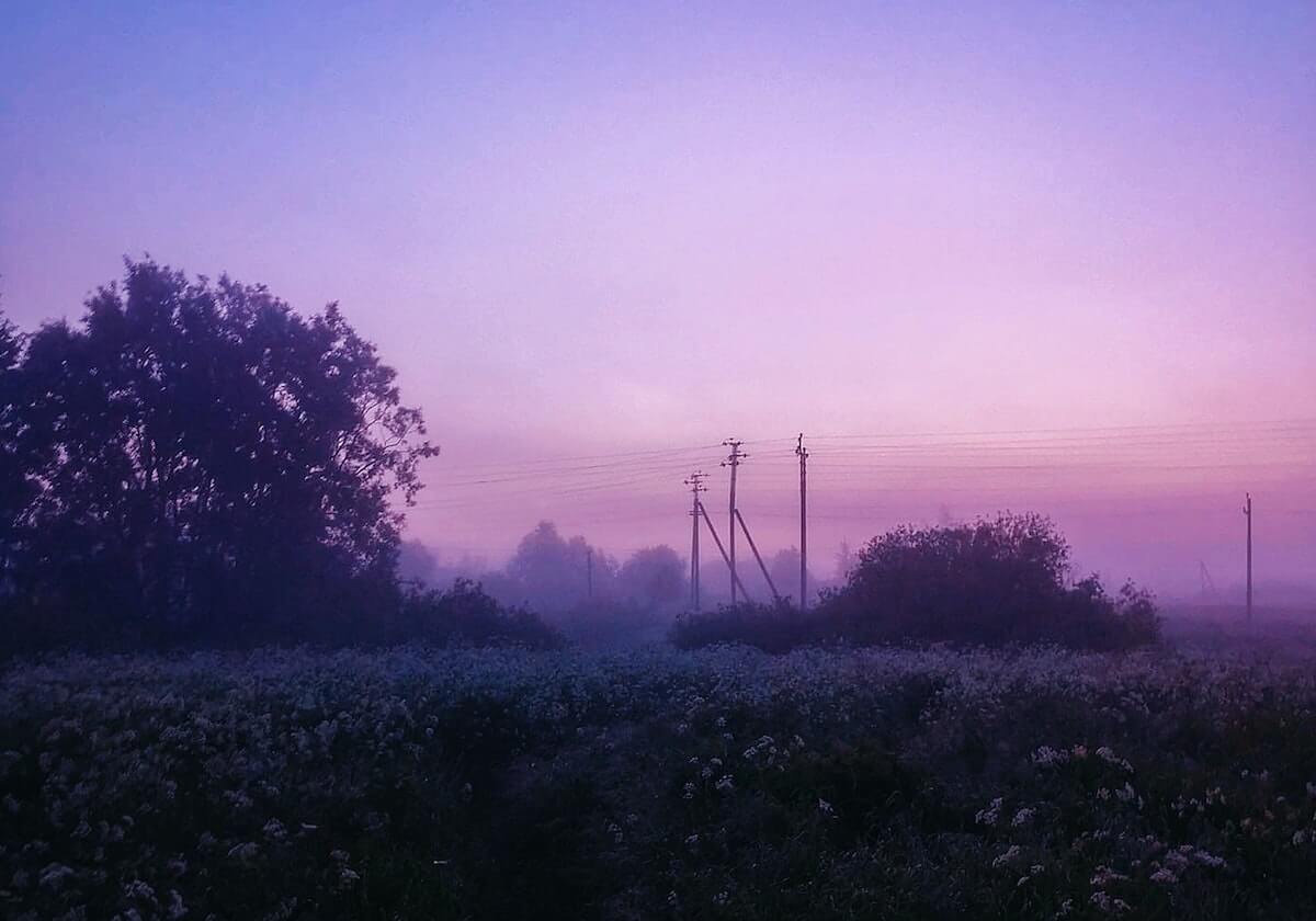 九游：开启你的掌中游戏新纪元